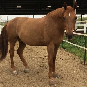 Meet your Posher, Emma